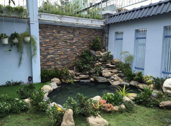Gợi ý bạn địa điểm mẫu thiết kế hòn non bộ hồ cá Koi đẹp nhất