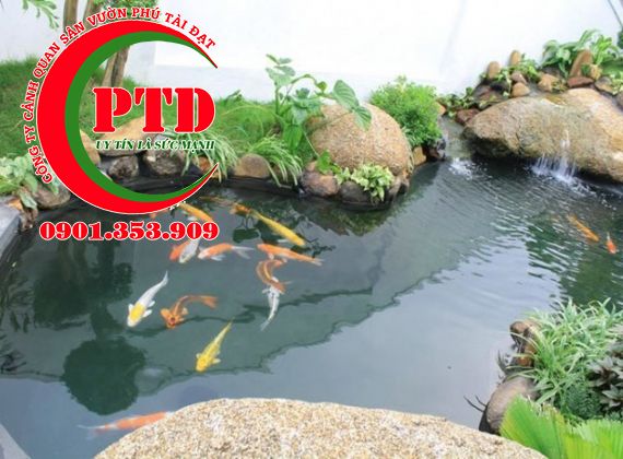 NƠI CHUYÊN CẢI TẠO HỆ THỐNG LỌC HỒ CÁ KOI BẠN NÊN BIẾT