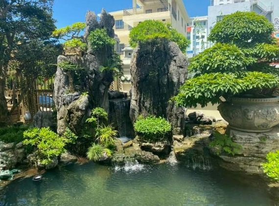 Lưu lại địa chỉ chuyên thiết kế thi công hồ cá Koi đẹp với nhiều kiểu dáng