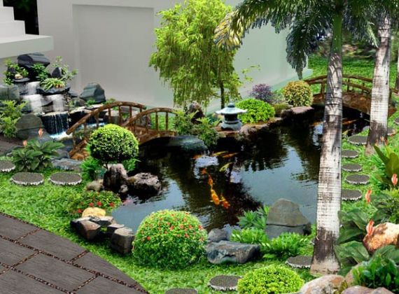 Yếu tố đảm bảo nước hồ cá Koi chất lượng