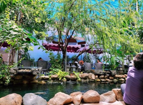 Dịch vụ chuyên thiết kế thi công hồ cá koi quán café đẹp