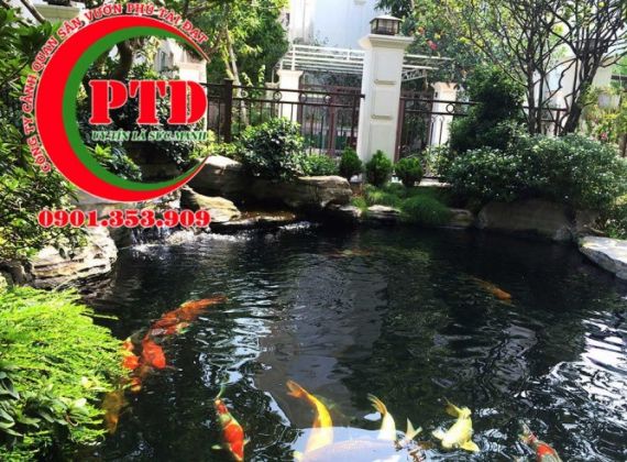 Dịch vụ thi công hồ cá Koi quận 8 đẹp và độc đáo