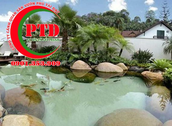 Bạn Cần Thiết Kế Hồ Cá Koi Đẹp? Hãy Alo Sân Vườn Phú Tài Đạt Nhé