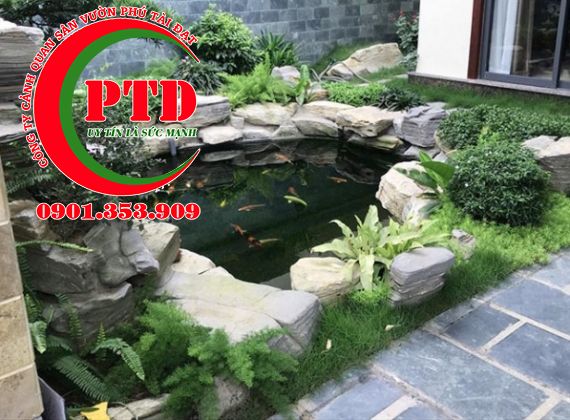 NHỮNG SAI LẦM THƯỜNG GẶP KHI CHĂM SÓC HỒ CÁ KOI TẠI NHÀ