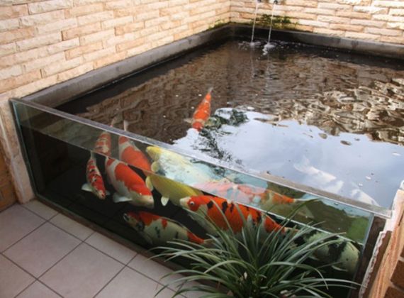 Nét đẹp hớp hồn người của mẫu hồ cá koi mini bằng kính