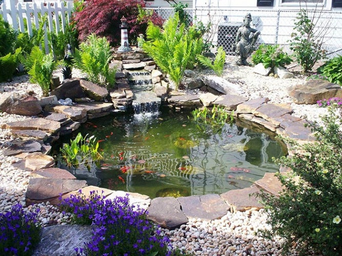 ho-ca-koi