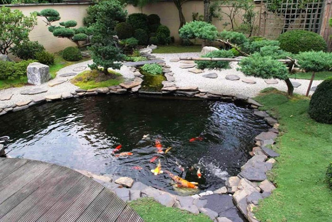 ho-ca-koi