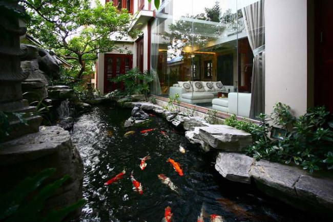 cai-tao-he-thong-loc-ho-ca-koi