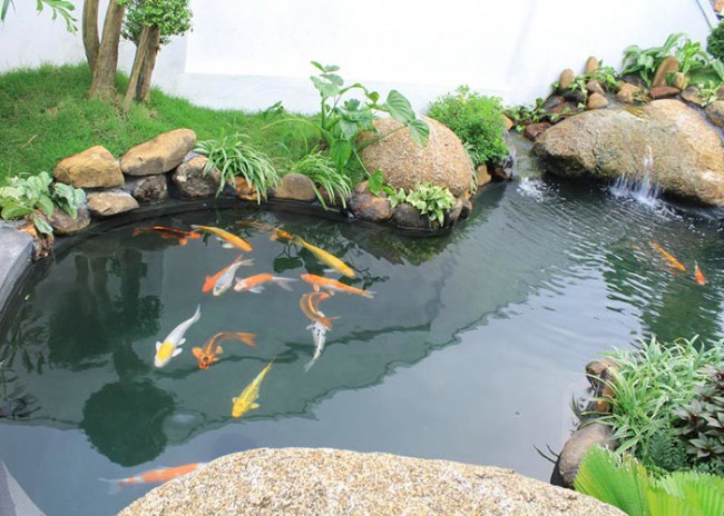 cai-tao-he-thong-loc-ho-ca-koi