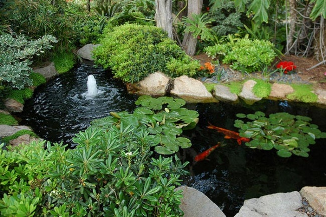 cai-tao-he-thong-loc-ho-ca-koi