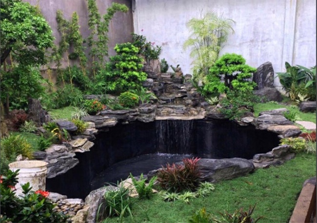 cai-tao-ho-ca-koi-tphcm