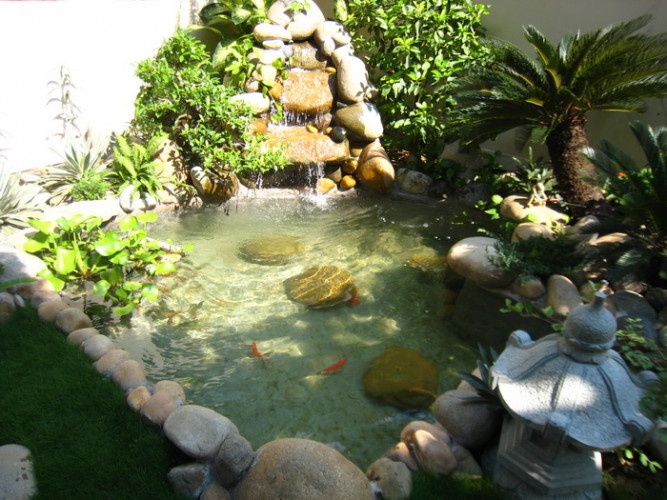 chi-phi-cai-tao-ho-ca-koi