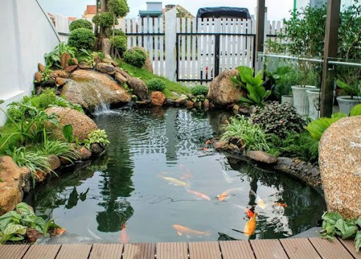 Chi phí cải tạo hồ cá Koi ngoài trời