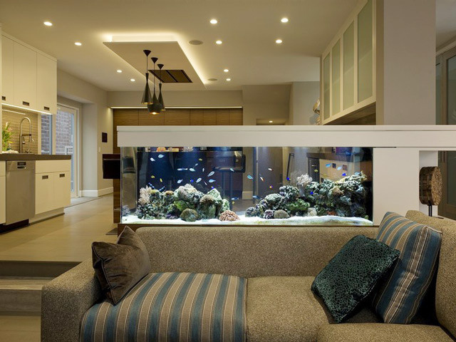 hồ cá koi mini trong nhà