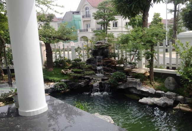 sua-chua-ho-ca-koi-bi-tham