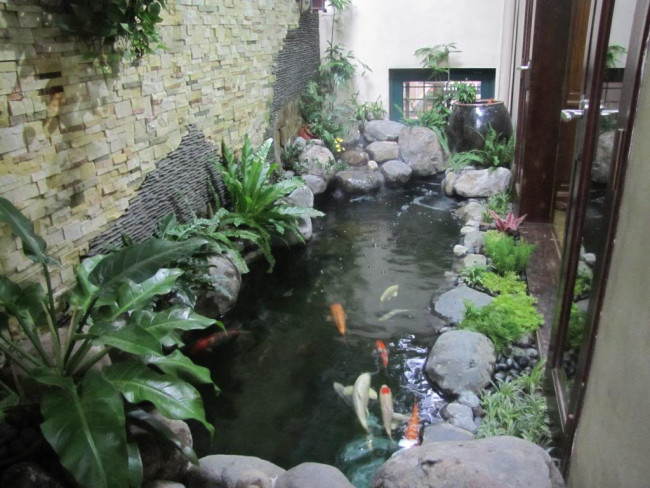 thiet-ke-thi-cong-ho-ca-koi-ngoai-troi