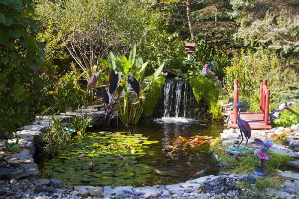 thiet-ke-ho-ca-koi