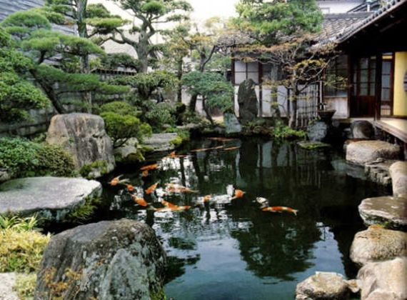 Chia sẻ bí quyết diệt tảo hồ cá koi hiệu quả nhanh nhất