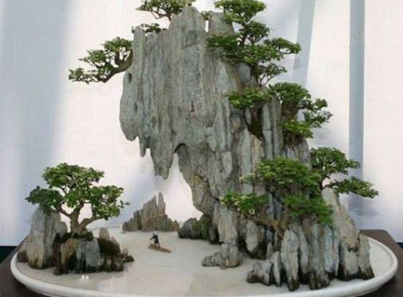 Làm thế nào chọn cây trồng thích hợp cho hòn non bộ?