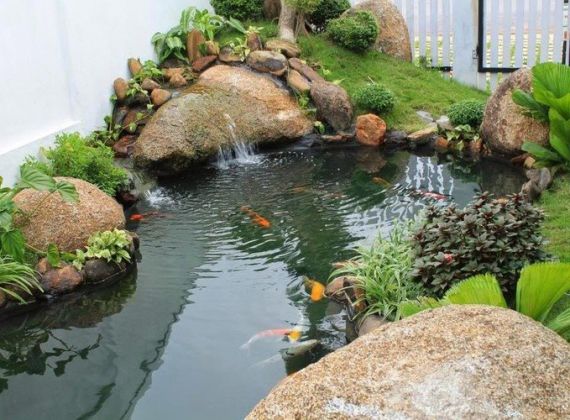 Vị Trí Thi Công Thiết Kế Hồ Cá Koi Thích Hợp Nhất