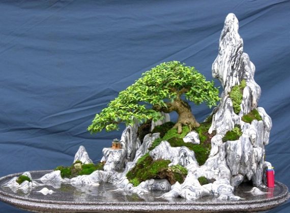 Giá trị hòn non bộ mini có thể bạn chưa biết