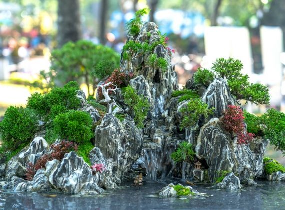 Cách chăm cây cho hòn non bộ nghệ thuật