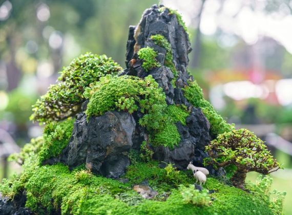 Hòn non bộ là gì và những điều cần biết