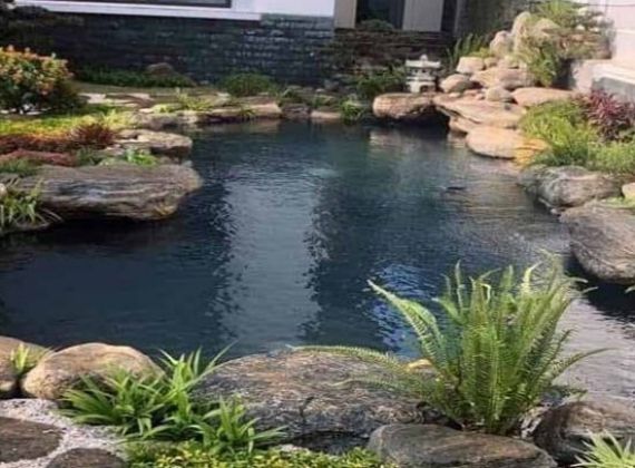 Mách bạn cách thiết kế hồ cá koi đạt chuẩn