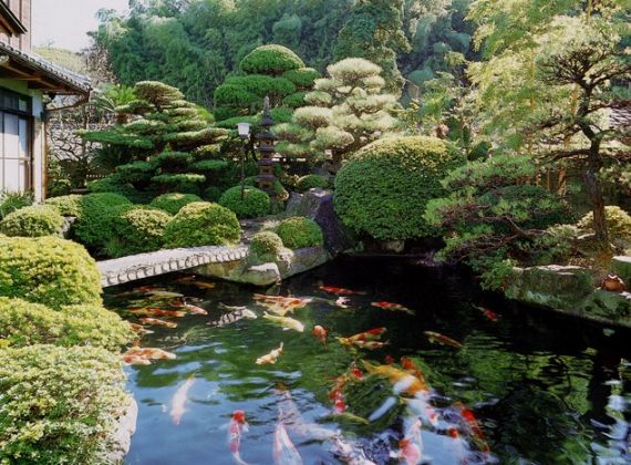 Ý tưởng thiết kế hồ cá koi ngoài trời được yêu thích nhất 