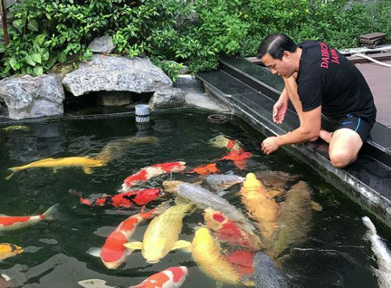 Vi sinh có thể thay thế hoàn toàn cho việc thay nước không?