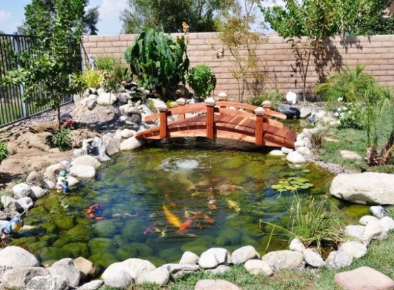 Đơn vị thi công hồ nuôi cá koi tại TPHCM có thể bạn chưa biết