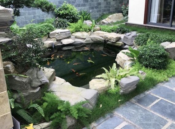 Tìm hiểu ngay hồ cá koi mini góc sân Bình Chánh chất lượng