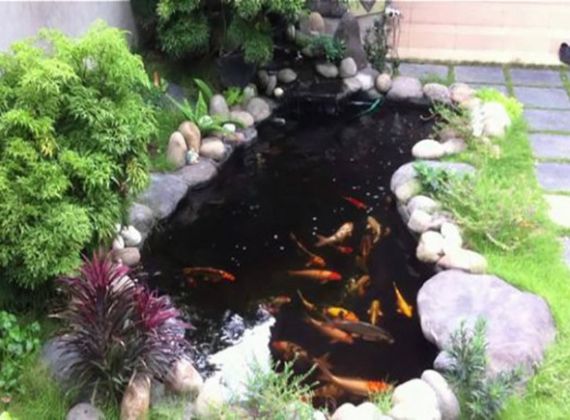 Công ty chuyên thiết kế hồ cá koi mini sân vườn Nhà Bè hàng đầu
