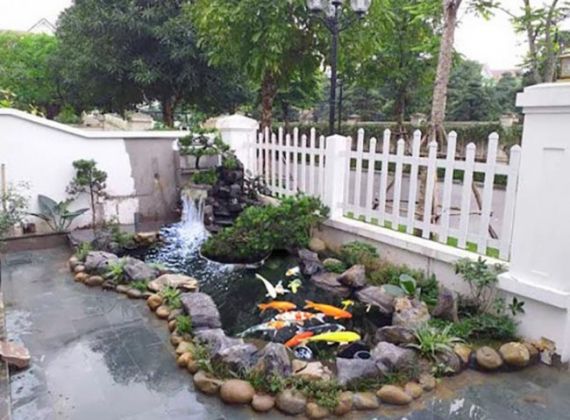 Tìm hiểu ngay địa chỉ thi công bể cá koi nhỏ Đồng Nai chất lượng